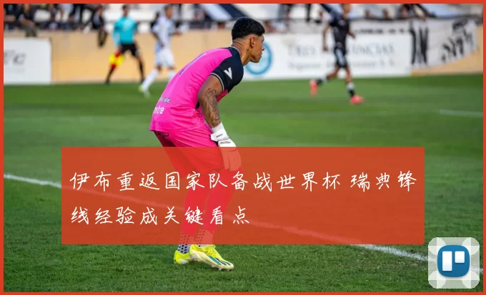 伊布重返国家队备战世界杯 瑞典锋线经验成关键看点