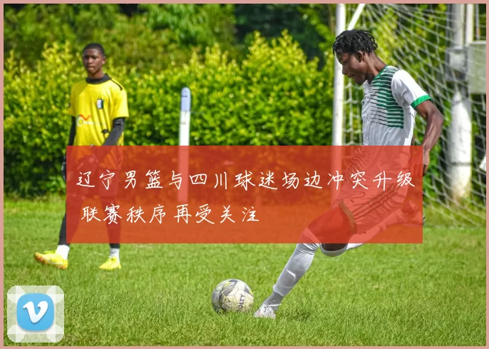 辽宁男篮与四川球迷场边冲突升级 联赛秩序再受关注