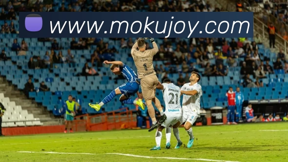 多媒体互动体验